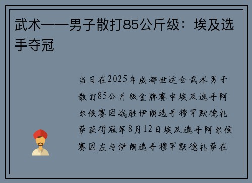 武术——男子散打85公斤级：埃及选手夺冠